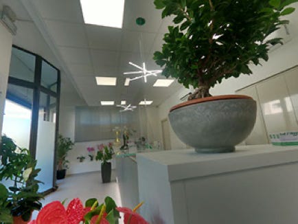 reception