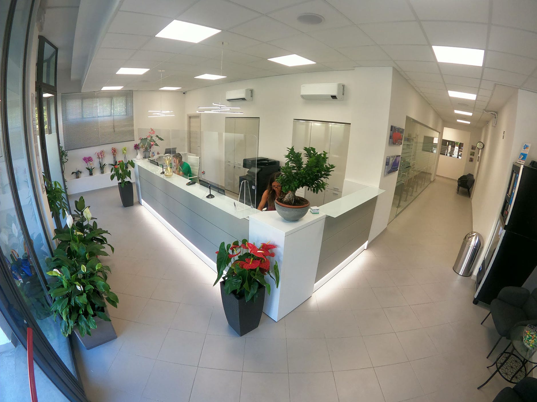 reception 5