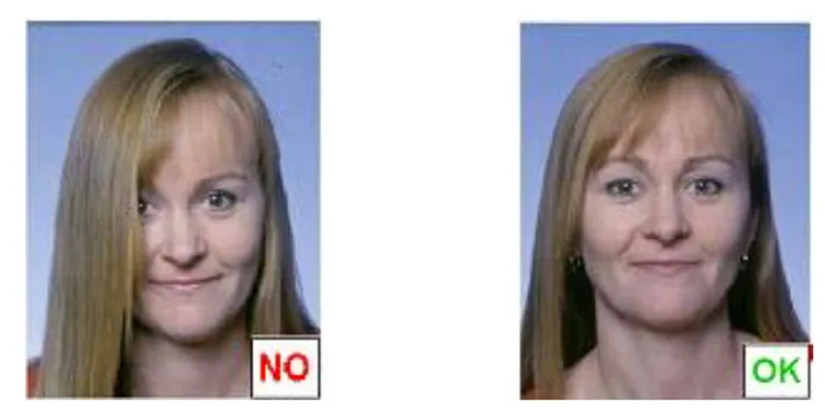 Example: eyes should not be covered by hair