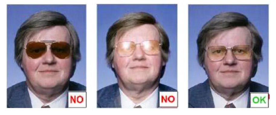 Example of glasses with colored lenses: photos not allowed and photos allowed