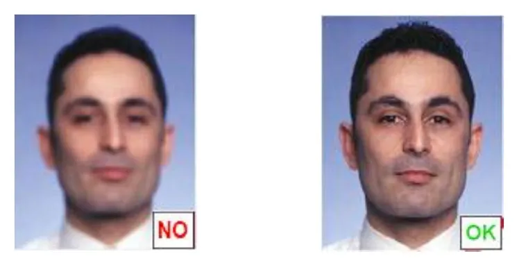 Focus example: Blurred photo not allowed and in-focus photo allowed