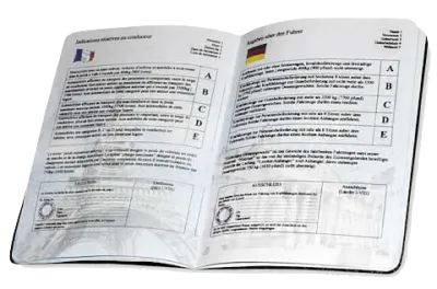 Broshura e Lejes Ndërkombëtare të Drejtimit të Drejtimit